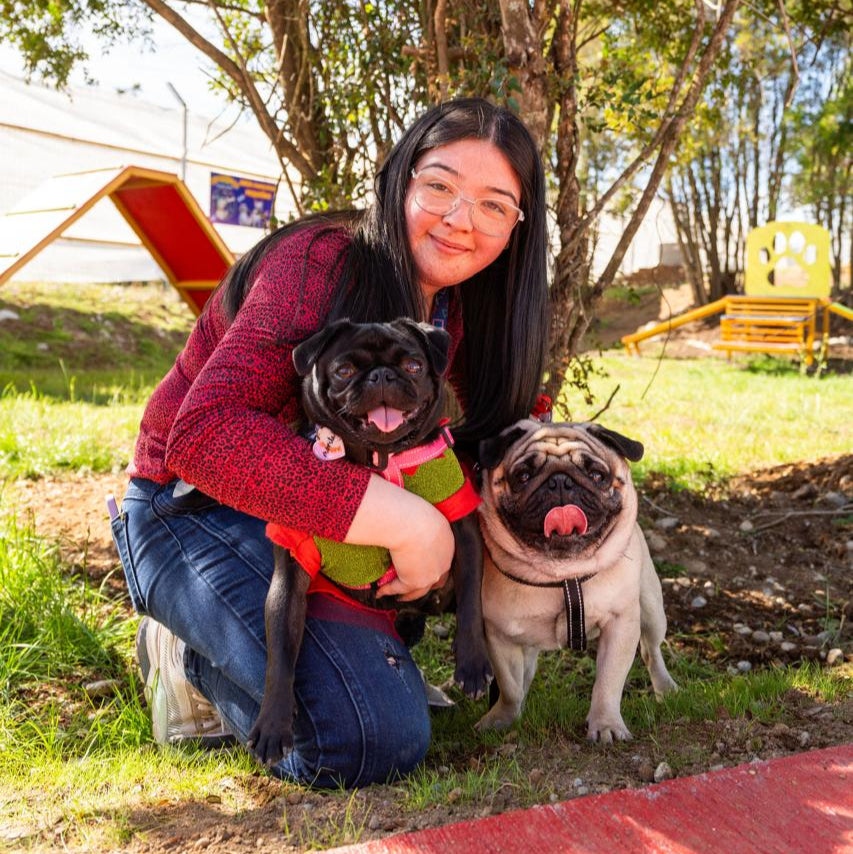 Parque Canino Divertican Perros Grandes ( sobre 10 kg )